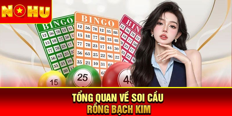 Tổng quan về soi cầu Rồng Bạch Kim